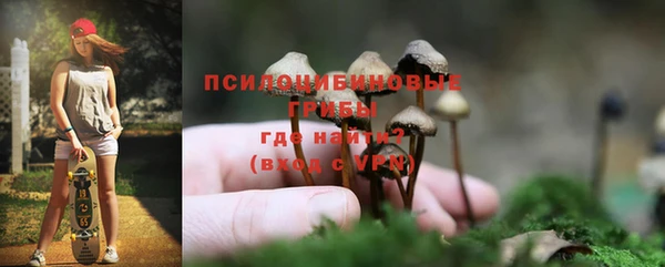 прущая мука Арсеньев