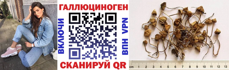 Псилоцибиновые грибы MAGIC MUSHROOMS Барыш